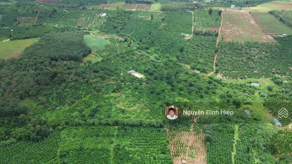 Bán 4.6ha đất gần trung tâm  cách nhựa 100m  khu dân cư