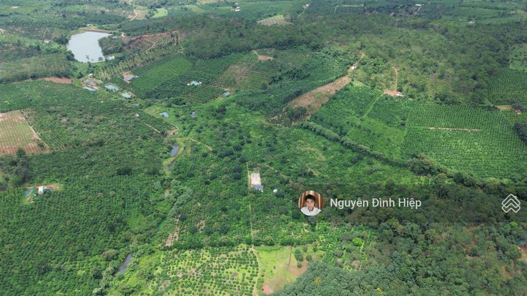 Bán 4.6ha đất gần trung tâm  cách nhựa 100m  khu dân cư