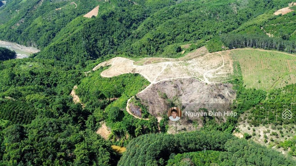 Bán đất tp gia nghĩa  5ha đất view săn mây  giáp sông đồng nai  cà phê tơ đang phát triển tốt