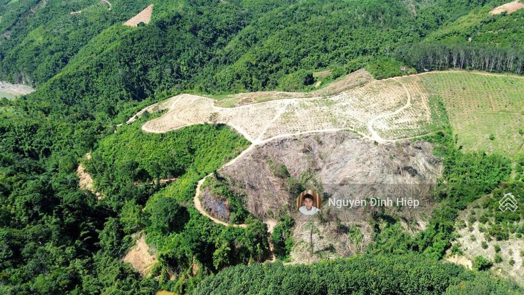 Bán đất tp gia nghĩa  5ha đất view săn mây  giáp sông đồng nai  cà phê tơ đang phát triển tốt