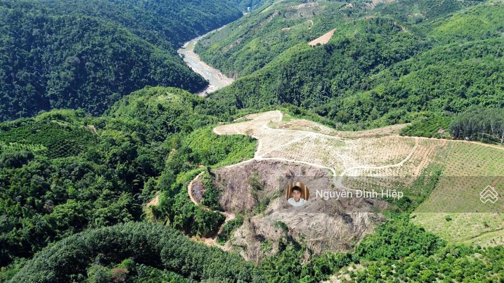 Bán đất tp gia nghĩa  5ha đất view săn mây  giáp sông đồng nai  cà phê tơ đang phát triển tốt