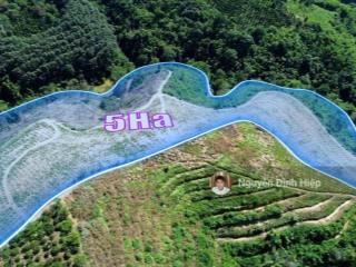 Bán đất tp gia nghĩa  5ha đất view săn mây  giáp sông đồng nai  cà phê tơ đang phát triển tốt