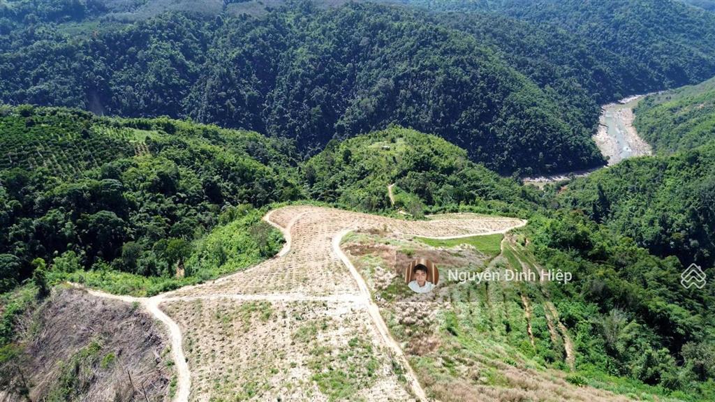 Bán đất tp gia nghĩa  5ha đất view săn mây  giáp sông đồng nai  cà phê tơ đang phát triển tốt