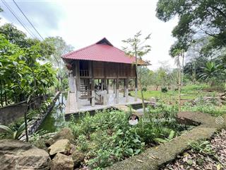 Giá 18 tỷ! sở hữu đất nghỉ dưỡng tổng diện tích 12.000m2 có 1200m2 thổ cư tại lương sơn hòa bình