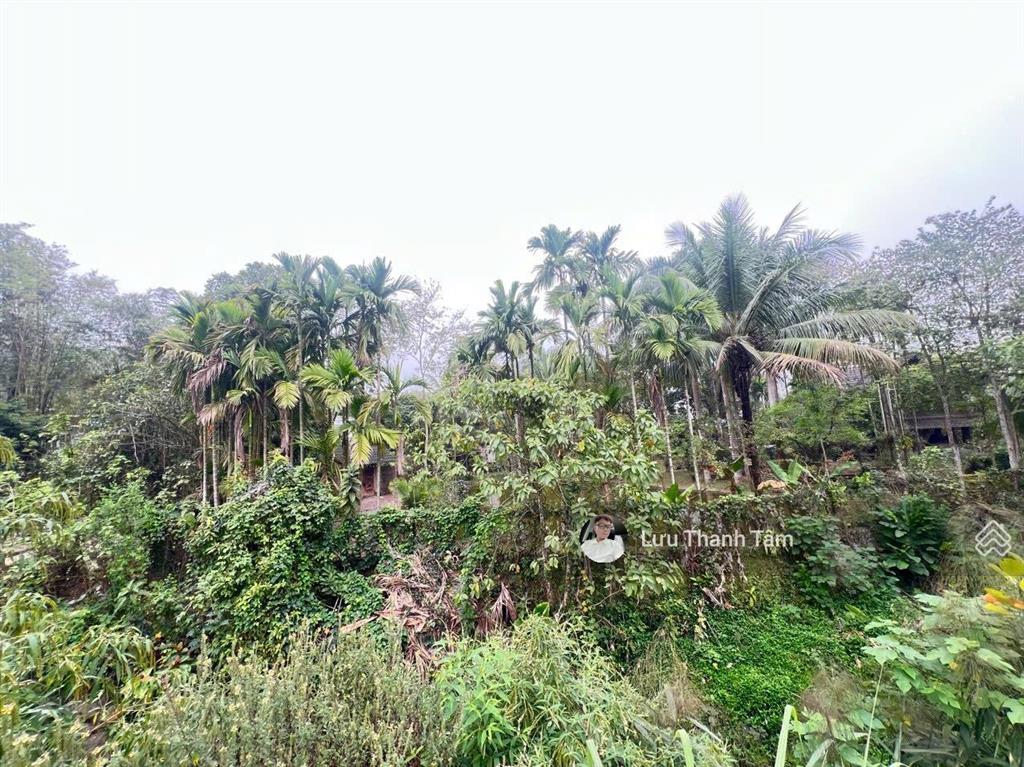 Chính chủ gửi bán 809m2 /200m2 thổ cư dt sử dụng thực tế 1000m2. cách ql6 chỉ 50m