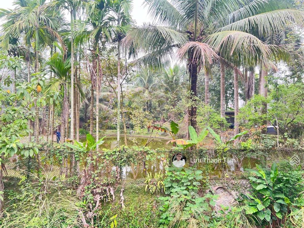 Chính chủ gửi bán 809m2 /200m2 thổ cư dt sử dụng thực tế 1000m2. cách ql6 chỉ 50m