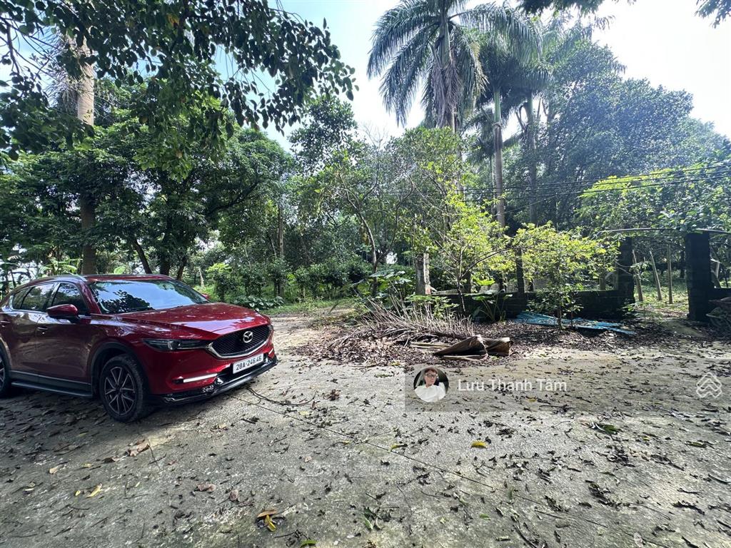 Cần bán lô đất nghỉ dưỡng tổng diện tích 30.000 m2 tại lương sơn, hòa bình