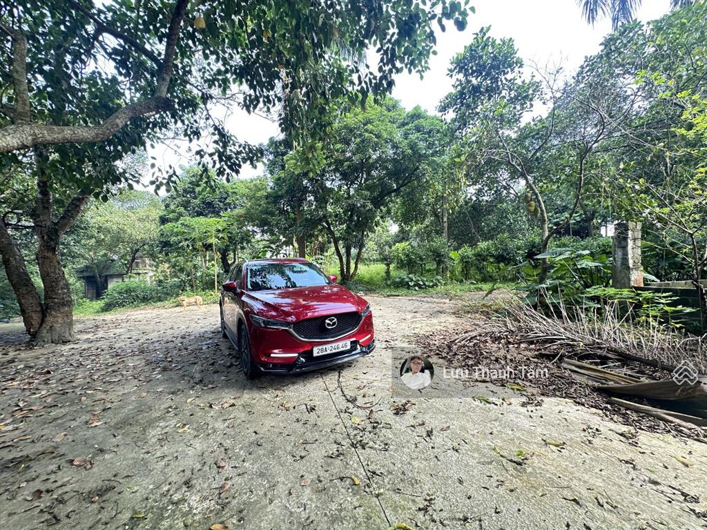 Cần bán lô đất nghỉ dưỡng tổng diện tích 30.000 m2 tại lương sơn, hòa bình