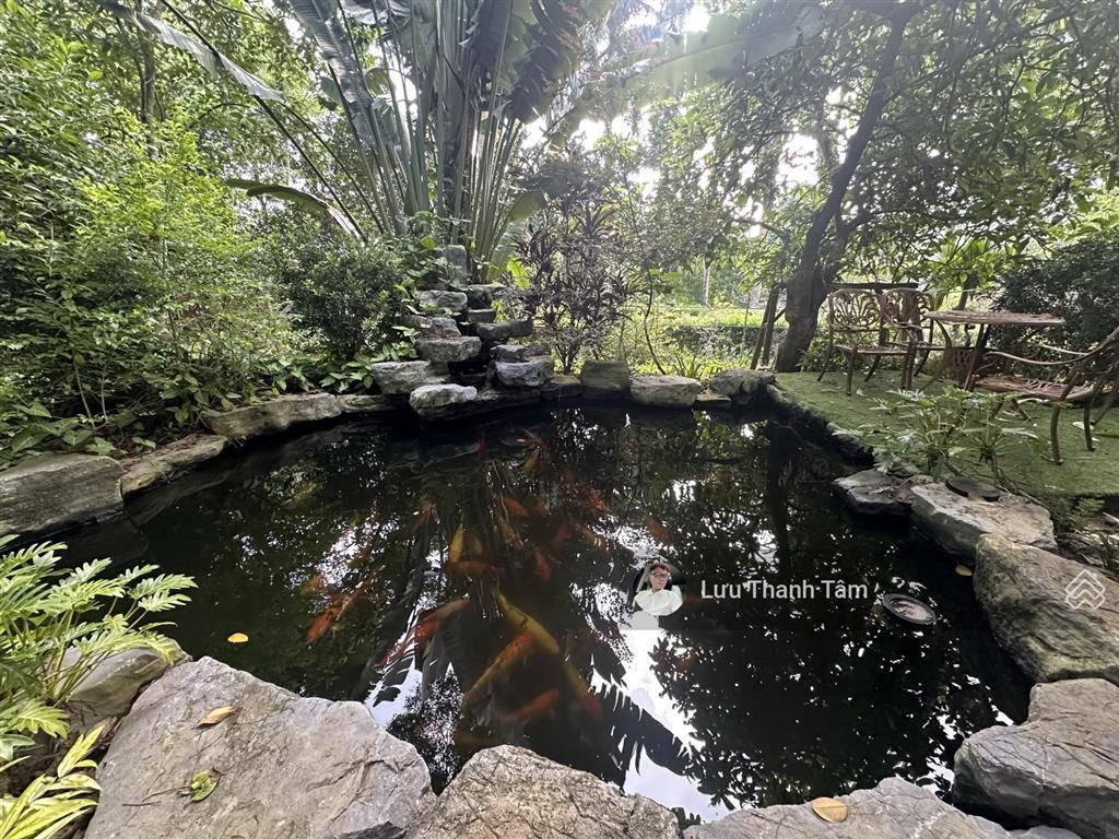 Cần bán lô đất nghỉ dưỡng tổng diện tích 30.000 m2 tại lương sơn, hòa bình