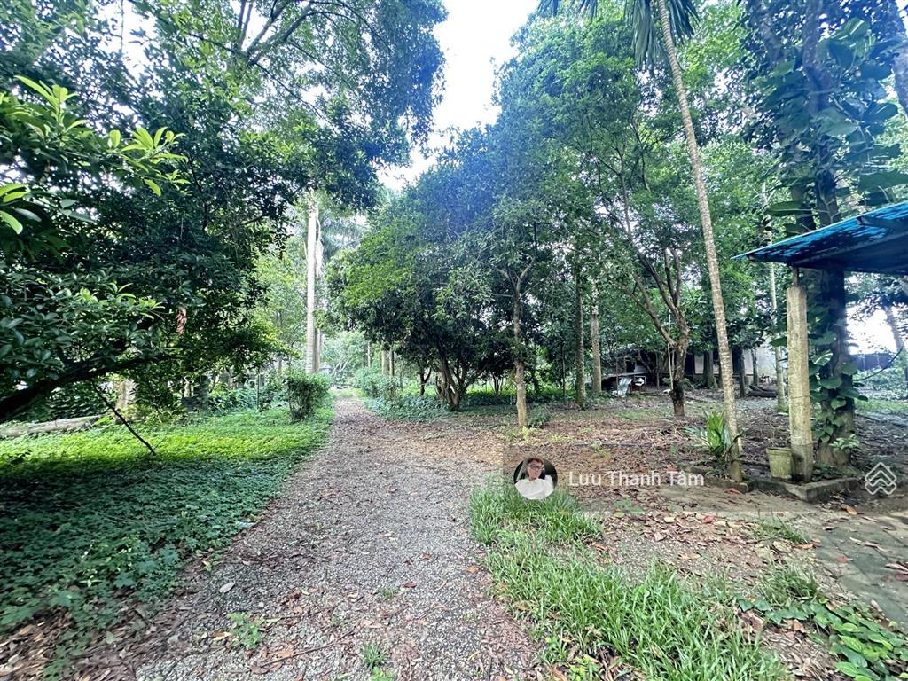 Cần bán lô đất nghỉ dưỡng tổng diện tích 30.000 m2 tại lương sơn, hòa bình