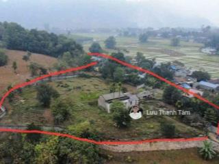 Cần chuyển nhượng lô đất có diện tích trong sổ là 2496m trong đó có 400m thổ cư là đất