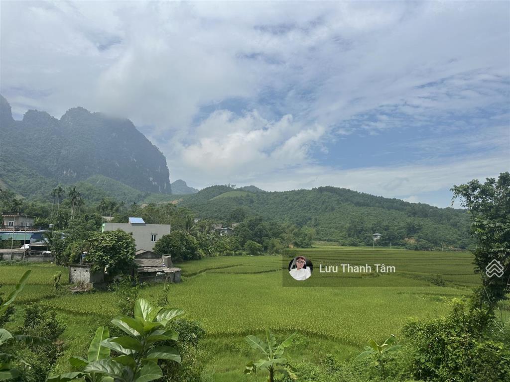 Cần chuyển nhượng nhanh dt 1190m2 đất xã cao sơn, lương sơn, hòa bình bám đường aphan liên xã