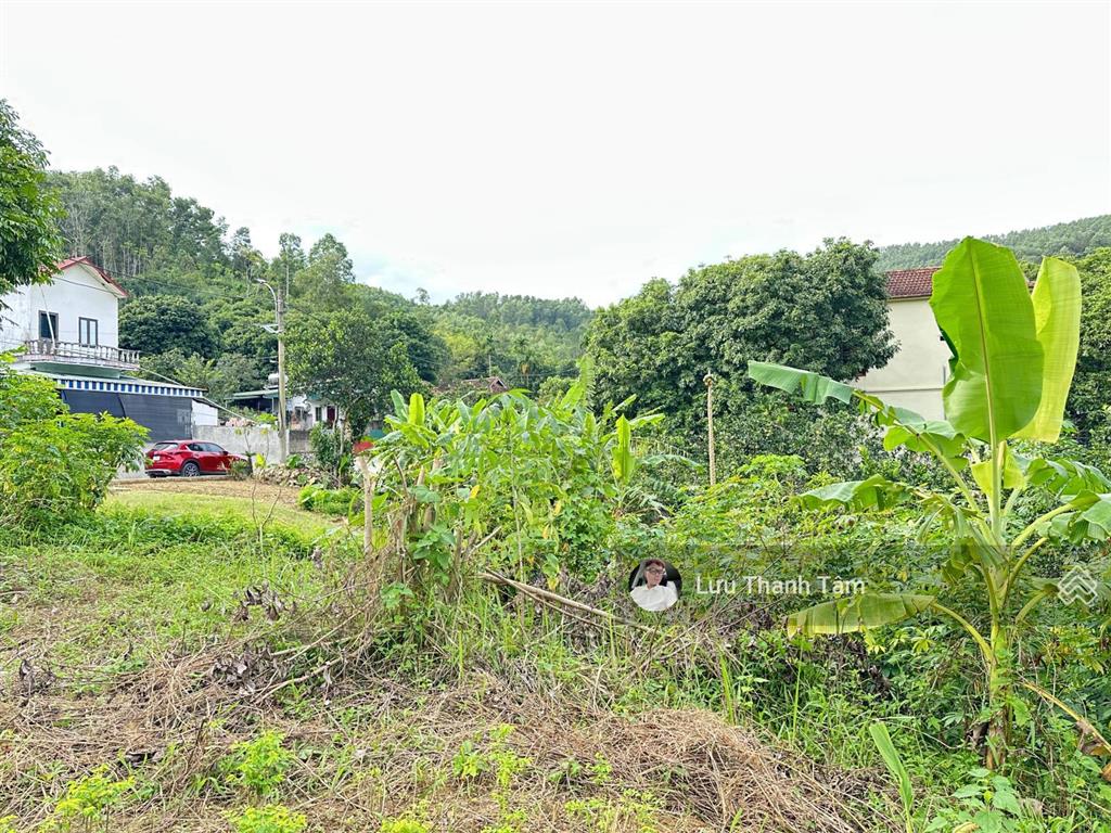 Chính chủ gửi bán 459m2 có 400m2 thổ cư cách quốc lộ 6 chỉ 100m tại lâm sơn, lương sơn, hòa bình