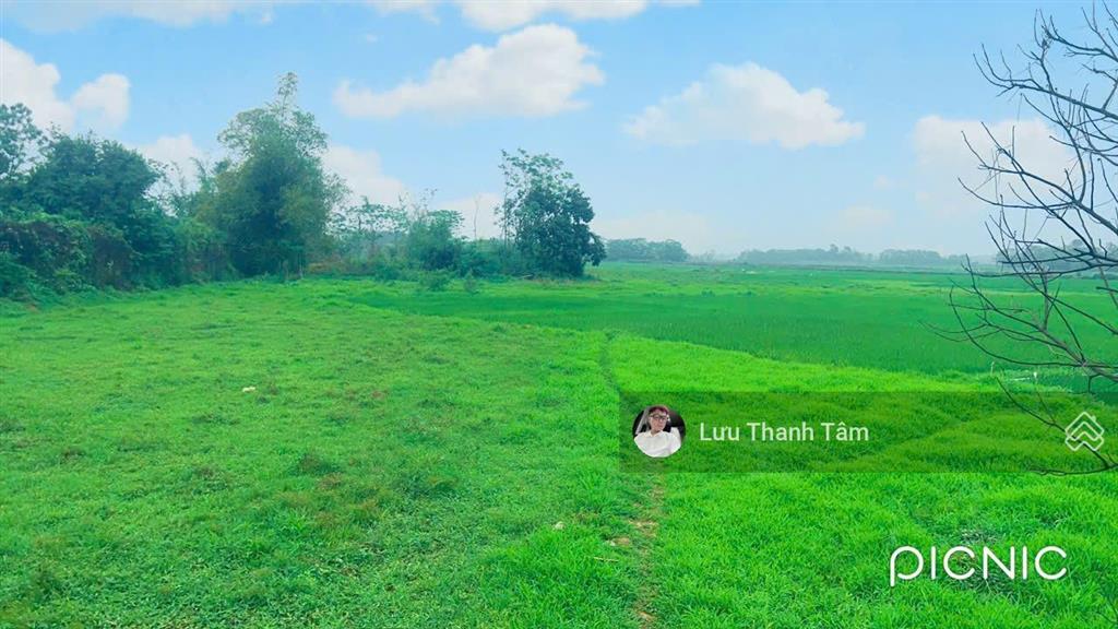 Chính chủ gửi bán lô đất 2932m2 có 400m2 thổ cư view toàn bộ cánh đồng thơ mộng tại lương sơn