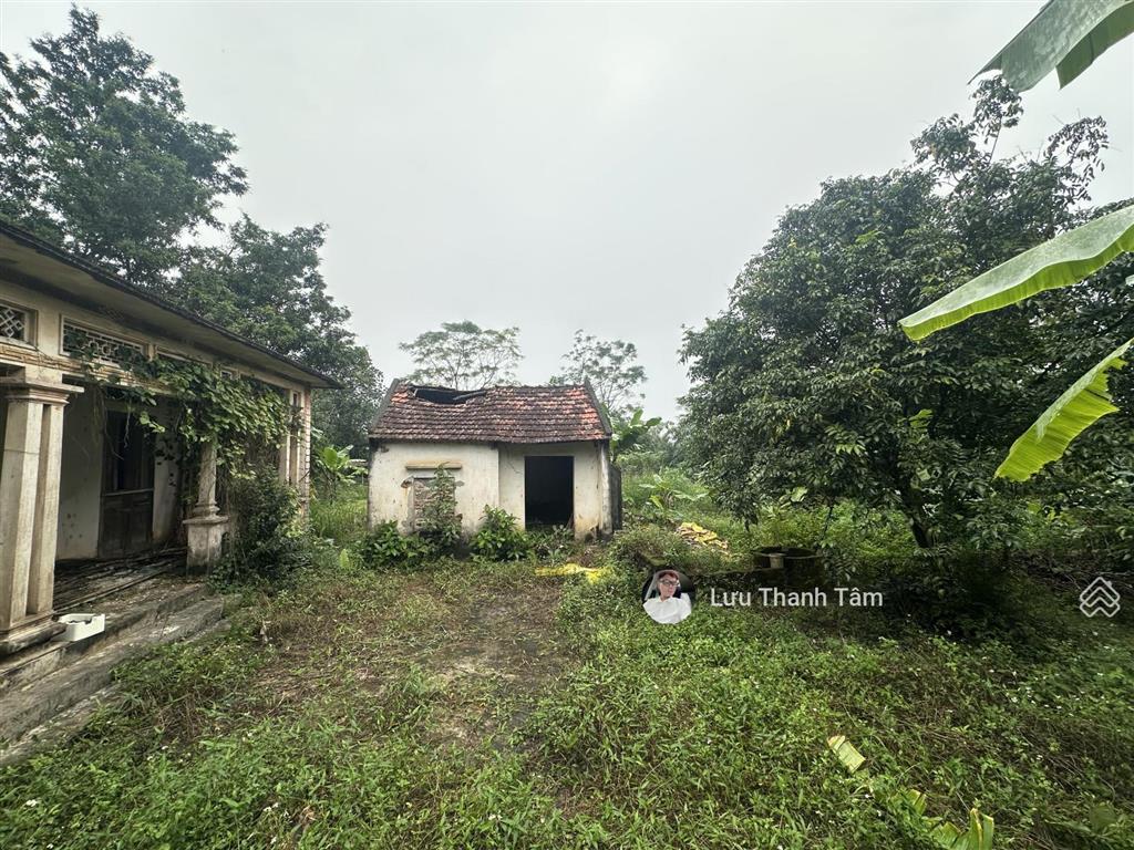 Chính chủ gửi bán lô đất 2932m2 có 400m2 thổ cư view toàn bộ cánh đồng thơ mộng tại lương sơn