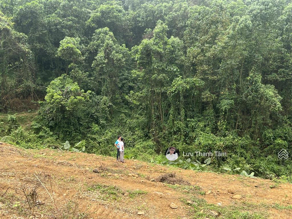 Cần bán lô đất nghỉ dưỡng tại hợp hòa, lương sơn, hòa bình, 4248m2 có 400m2 thổ cư view đẹp