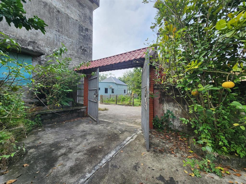 Bán nhanh nhà 1 tầng 305m2 tam quang  vũ thư ô tô vào tận sân