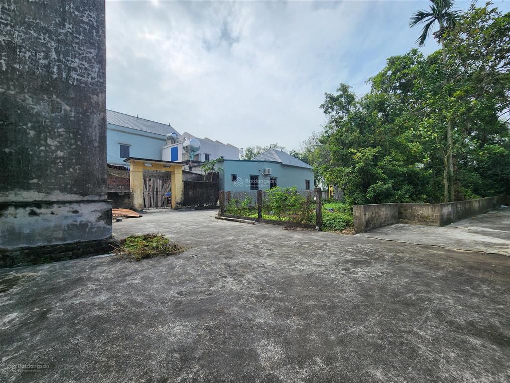 Bán nhanh nhà 1 tầng 305m2 tam quang  vũ thư ô tô vào tận sân