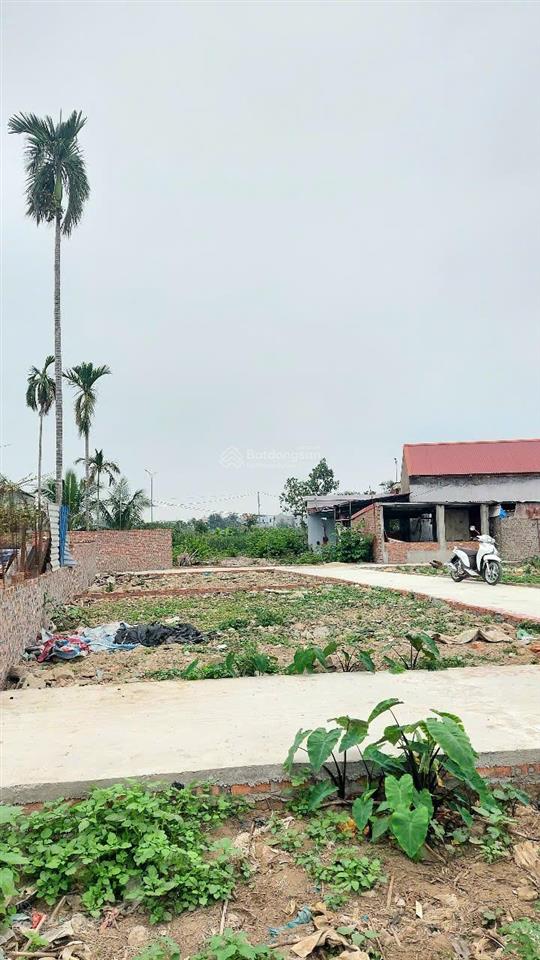 Chỉ 1,12 tỷ  lô góc 55m2 tại xích thổ, hồng thái an dương  cách đường worbank 30m mặt ngõ thông