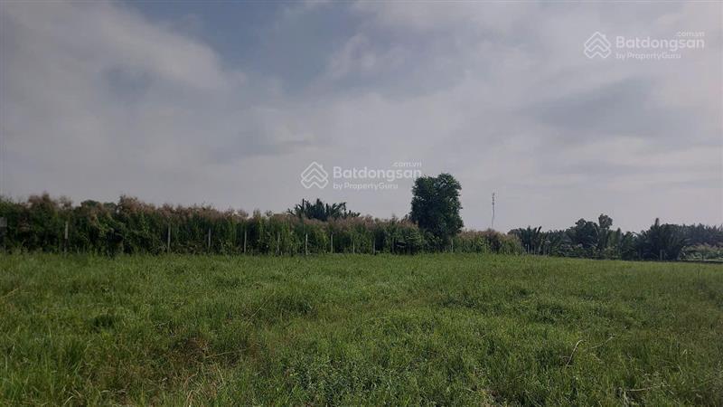 Chủ ngộp bank ra gấp đất lớn, bình quới, bình thạnh, 9670m2, 140 tỷ