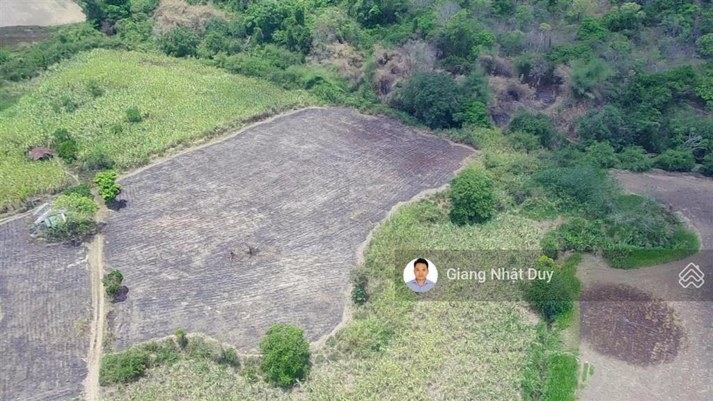 Bán 8.677 m2 đất giáp sông ea kar, daklak
