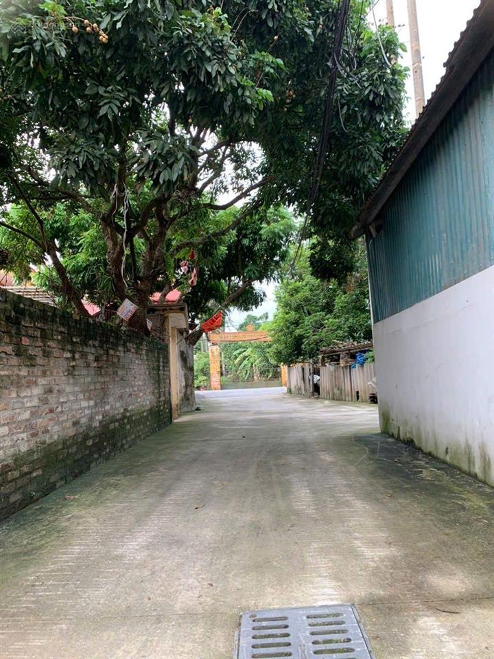 Khổ nhỏ giá đầu tư và ở đẹp cổ dương tiên dương đông anh