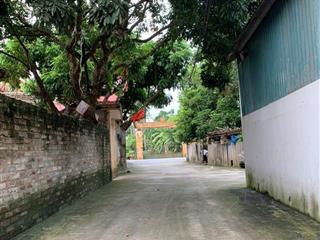 Khổ nhỏ giá đầu tư và ở đẹp cổ dương tiên dương đông anh
