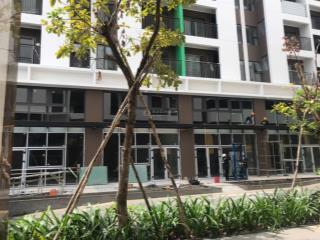 Cho thuê shophouse kinh doanh  căn góc  trần cao 7m (thiết kế được 2 tầng kinh doanh)