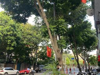 Mặt phố phạm khắc quảng  giang biên cạnh đô thị việt hưng 90m2 xây tòa nhà chỉ 17 tỷ giá đầu tư