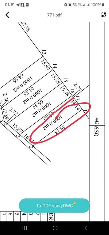 Bán gấp lô đất 1000m² mặt tiền cây thông ngoài, phú quốc sổ đỏ riêng giá chỉ 4.5 tỷ