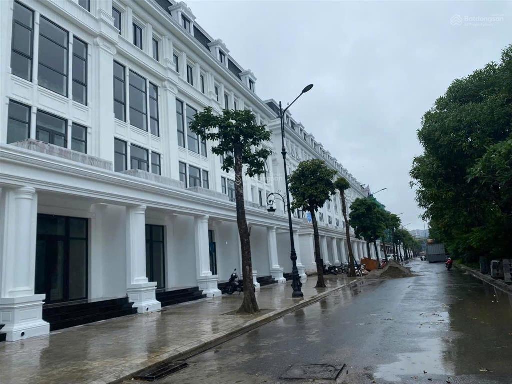 Cam kết giá tốt nhất dự án louis city hoàng mai  cần ra hàng căn biệt thự song lập mặt tiền 12m