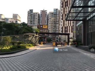Bql tòa chelsea park cần bán một số diện tích sàn tmdv văn phòng phố trung kính