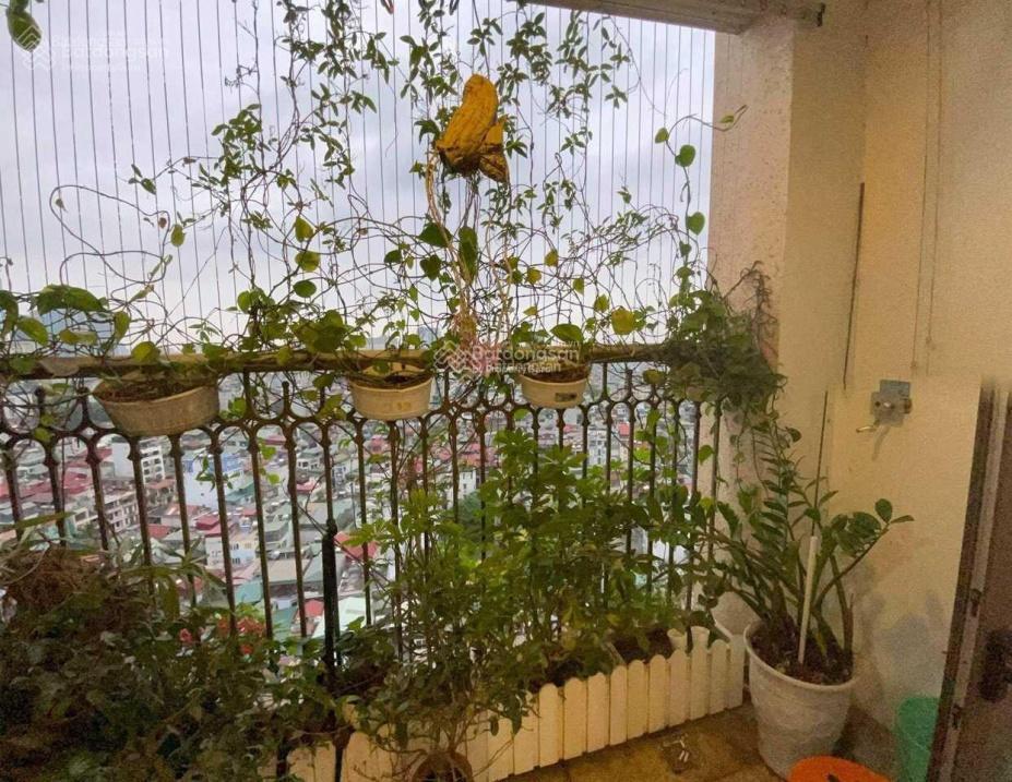 Bán cc hoàng cầu d'. le pont d'or tân hoàng minh, 92 m2, 2pn view 1x tỷ.  0931 318 ***