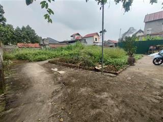 Cần thanh khoản lô góc 3 mặt tiền 50m2 phúc thọ hà nội