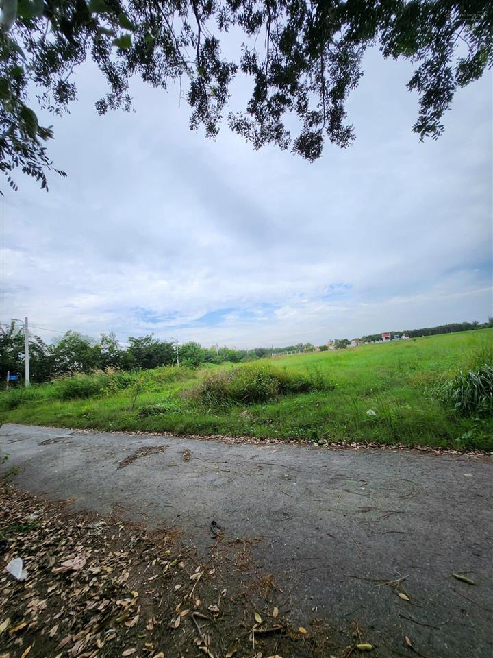 Bán gấp đất tt bình chánh chính chủ dt 5 sổ, 6000m2 giá bán 10tr30/m2(tl). cách trung tâm huyện