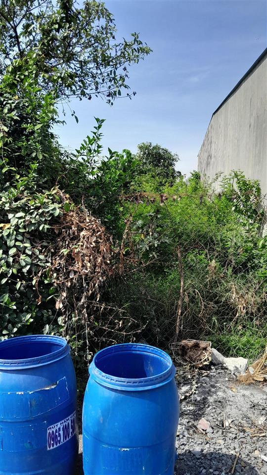 Mình cần bán gấp lô đất thuộc tân phú trung, củ chi, giáp hóc môn. đất ở thổ cư xây dựng ngay