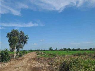 HÓT  Bán GẤP 2 Hecta Đất Nông Nghiệp MT Kênh Đông Củ Chi, , Giá Đầu Tư Chỉ 40 Tỷ