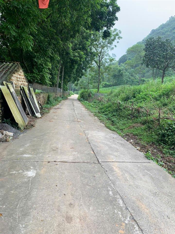 Cân bán mảnh đất tại thôn đồng chanh xã nhuận trạch, lương sơn, hoà bình