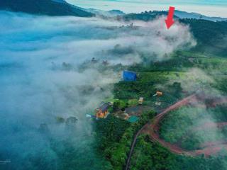 Bán lô đất 750m2 có thổ cư view săn mây đồi bát úp, phù hợp làm homestay  cách bảo lộc 20 phút