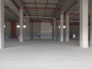 Cho thuê kho xưởng cao cấp bw industrial kcn xuyên á, long an