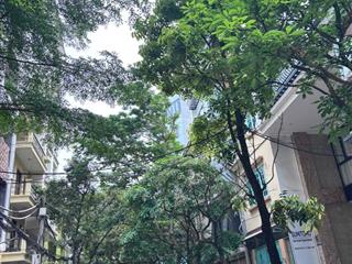 Siêu phẩm phân lô đào tấn ô tô kinh doanh 48m4 ngủ thoáng trước sau 13,8 tỷ giá tốt nhất khu