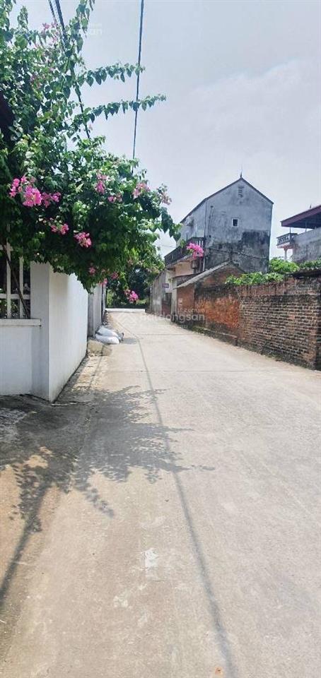 Đất nở hậu xóm mới yên ninh, sóc sơn, tách thửa 52m2, mt 4.3m,đất lành an cư vượng lộc giá 1.52 tỷ