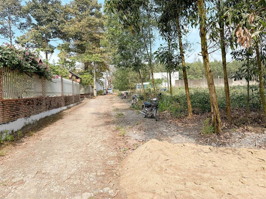 Bán đất tại ấp 7, an phước, long thành, đồng nai, giá cực chất 1 tỷ, 100m2