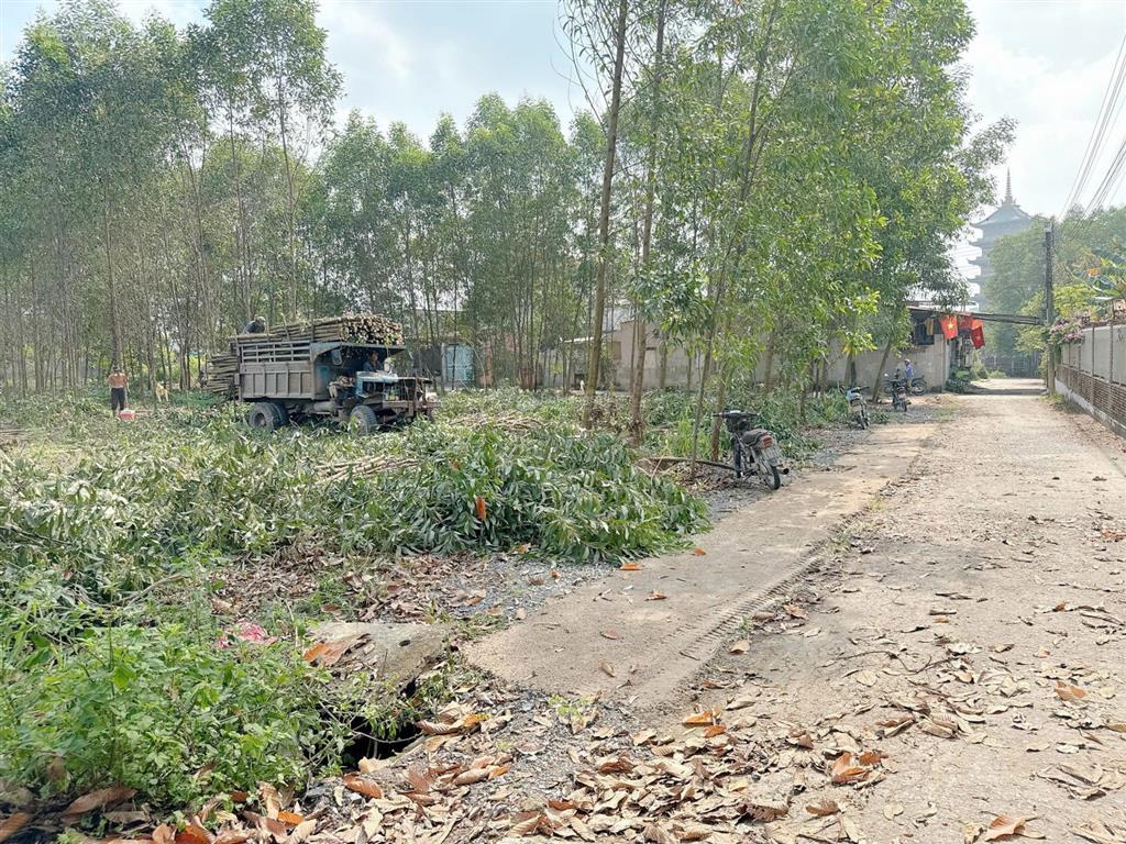 Bán đất tại ấp 7, an phước, long thành, đồng nai, giá cực chất 1 tỷ, 100m2