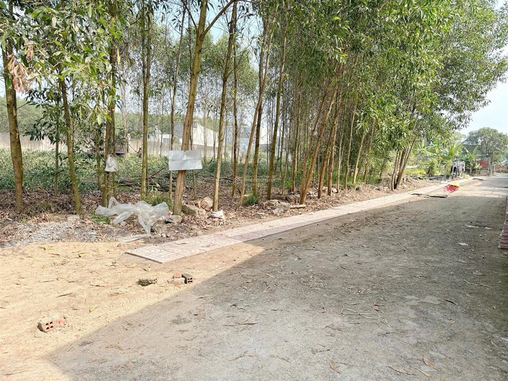 Bán đất tại ấp 7, an phước, long thành, đồng nai, giá cực chất 1 tỷ, 100m2