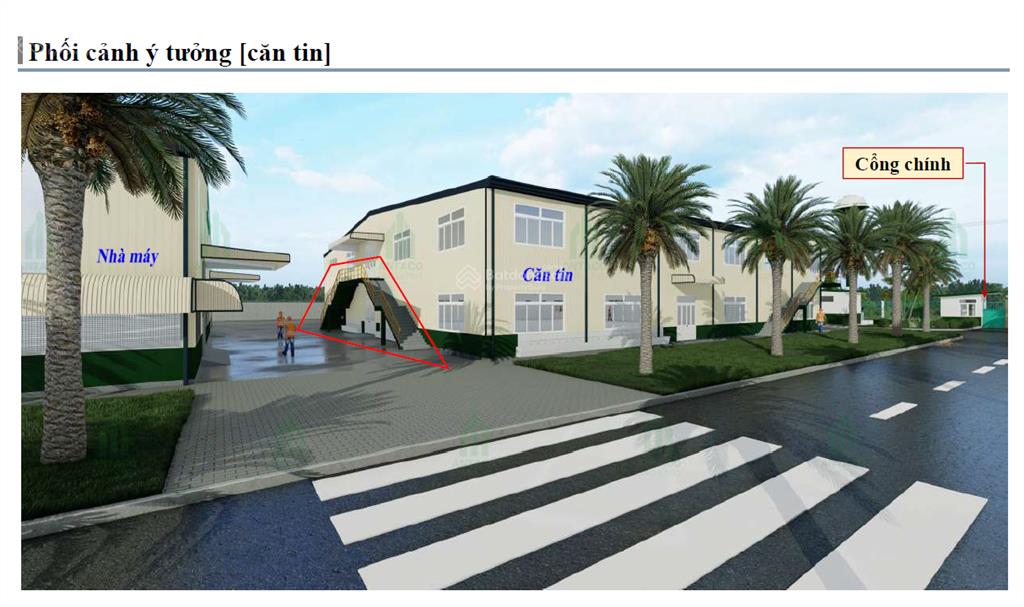 Giảm 52,198 tỷ  chuyển nhượng nhà máy giày kcn hòa phú  tỉnh đắk lắk (56.748 m2)