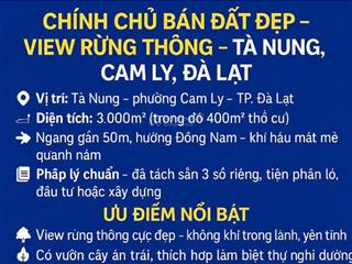 Bán đất nghỉ dưỡng đà lạt 3000m2 view rừng thông