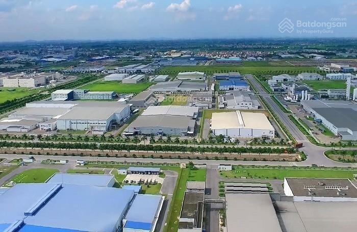Cđt kcn số 3 bán đất trả tiền 1 lần, diện tích duy nhất 1ha, hạ tầng đẹp, giá tốt nhất thị trường