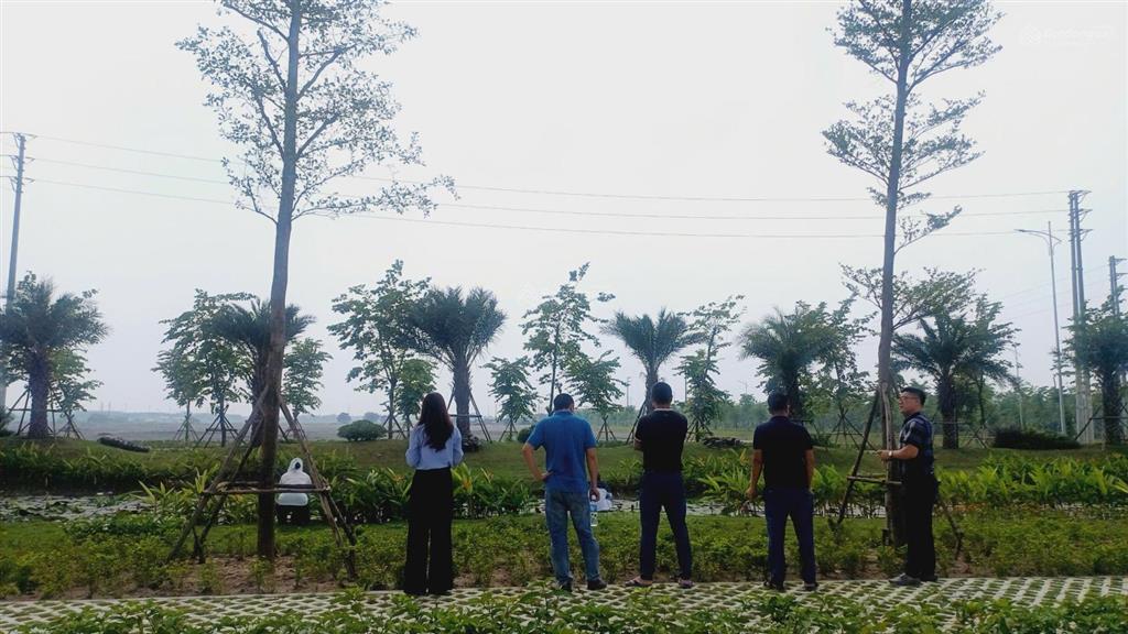 Chính chủ cắt lỗ gấp lô đất 1ha khu công nghiệp đồng văn 1, hà nam giá cực tốt