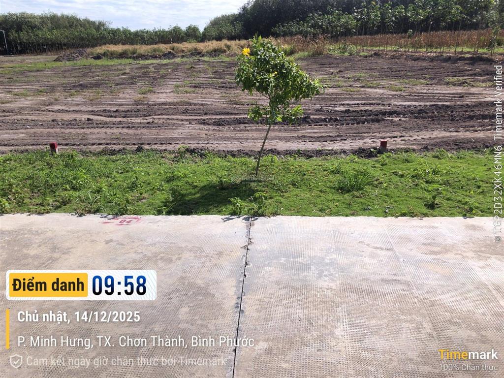 Cơ hội vàng đầu tư & an cư sở hữu ngay đất nền pháp lý sạch tại thị xã chơn thành, bình phước